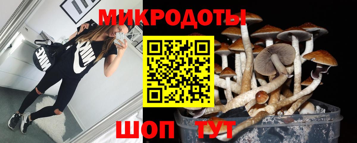 Псилоцибиновые грибы Psilocybine cubensis Комсомольск-на-Амуре