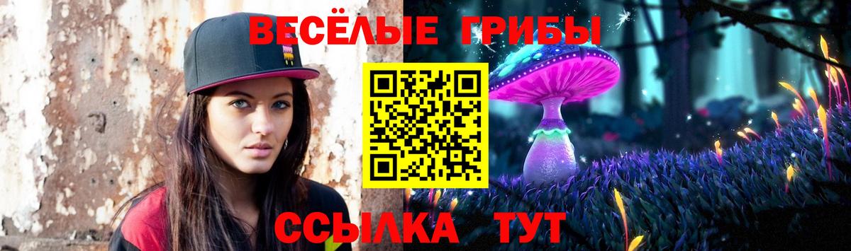 цены   Вход с VPN  Комсомольск-на-Амуре  Псилоцибиновые грибы GOLDEN TEACHER 